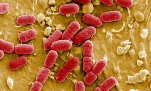 Superbugs