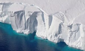 Antarctic