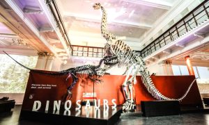 Museum, Planet, Friday, CEO, Exhibition