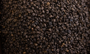 Coffee (1)