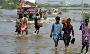 Too Little, Too Late: Pakistan’s Climate Crisis Comes Home