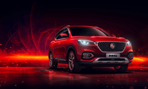 MG