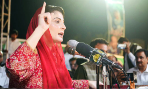 Maryam Nawaz, Nawaz Sharif, Khan, PTI, PML-N, Court. IMF, Economic, Prime Minister, Agreement, Faisalabad