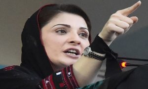 Maryam Nawaz, Nawaz Sharif, Pakistan Muslim League, PML-N, interview,