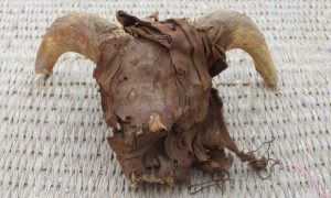 Mummified