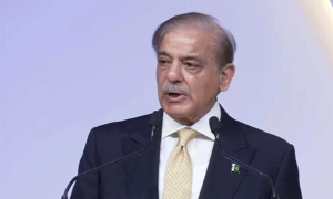 PM, Shehbaz Sharif, condemns, indecent, talk, PTI, lawyer, Maryam Nawaz