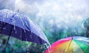 Rainl