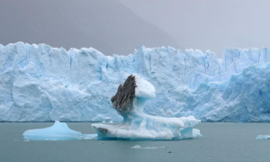 Scientists, frozen