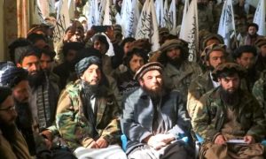 Jobs, Taliban, relatives