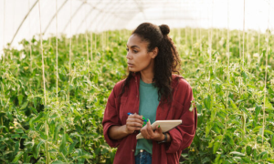 Having, Access, Digital Technologies, Essential, Women, Agriculture, FAO, Official