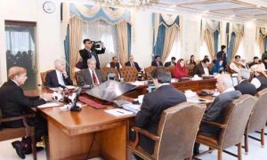 Supreme Court, Bill, Cabinet, Prime Minister, Shehbaz Sharif, Judges, Law, Senate, National Assembly