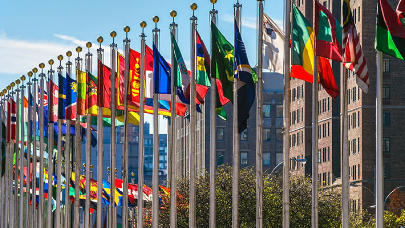UN, gases, Greenhouse, UNITED NATIONS, carbon dioxide