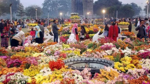 Festival, Islamabad, Islamabad Capital Territory, poetry, Basketball