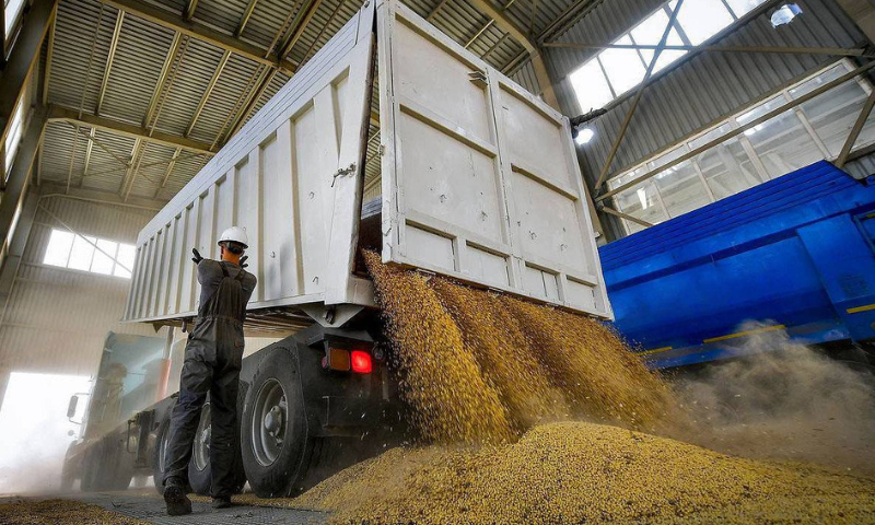 Grain, Deal, United Nations, Minister, UN, Black Sea, Talks, Antonio Guterres, Exports, Geneva, Netherlands, 