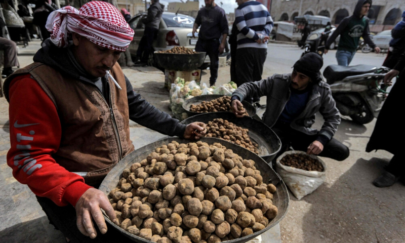 Syria, Monitor, Islamic State, Truffle, US, Government, Desert, State, Civilians
