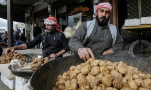 Syria, Monitor, Islamic State, Truffle, US, Government, Desert, State, Civilians