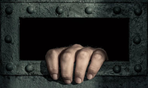 Confinement, Law, Developmental, Youth, History