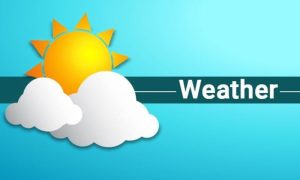 ad interim Japan, Government, Weather, Network