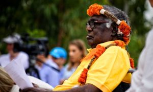 Aboriginal, Leader, Australia, Government