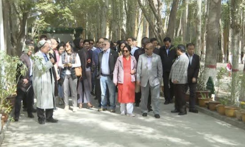 Beijing, Diplomats, envoys, Pakistan, ministry