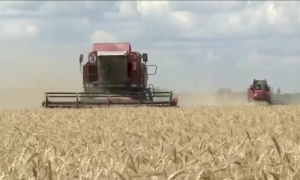 EU Warns Against Unilateral Steps after Hungary, Poland Ban Ukrainian Grain