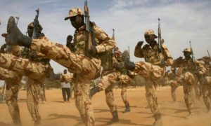 Burkina, Rights, Group, Karma, NGO, Court, Al-Qaeda, Government, Mali, United Nations, UN