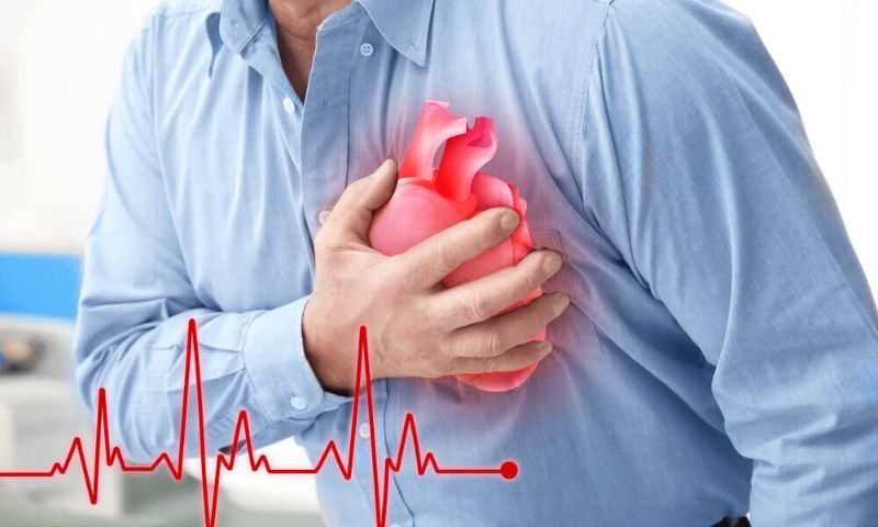Heart
