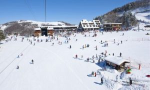 Italy, ski, industry, cannon, climate change