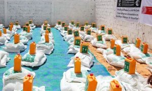 Relief, food, basket