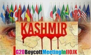 Srinagar, Kashmir, Jammu, India, New Delhi, Modi, UN, G-20, Pakistan, Government