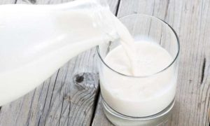 Milk