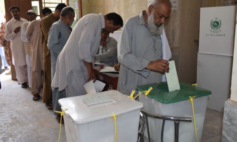 Registered Pakistani