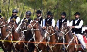 Islamabad, Championship, Riders, Golra, F-9 Park, Sport, Traditional, Pakistan, Culture