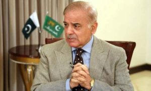 Shehbaz, Prime Minister, SC, Supreme Court, Pakistan, PPP, PDM, opposition, government,