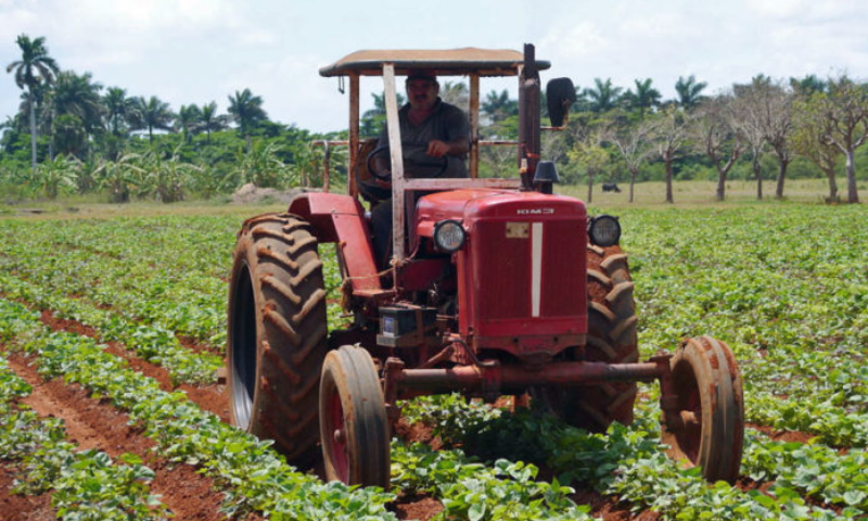 US Agro-businesses Urge Biden to Allow More Investments in Cuba