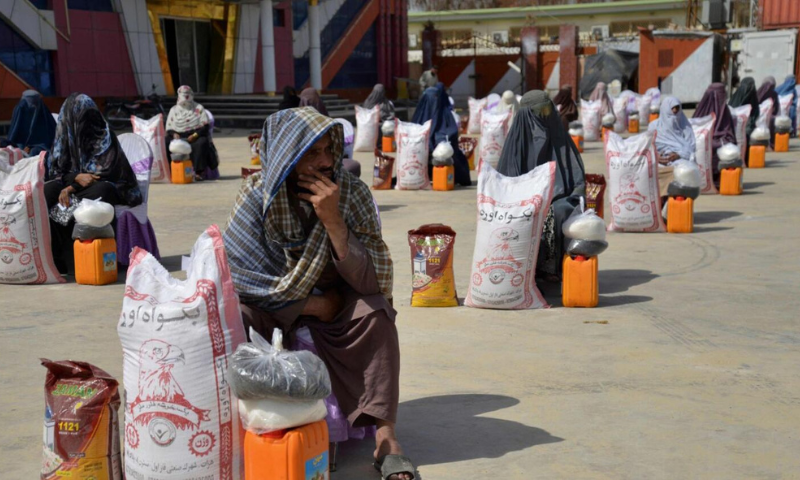 UN, Staff, Women, Afghan, Nangarhar, Province, United Nations, Mission, Afghanistan