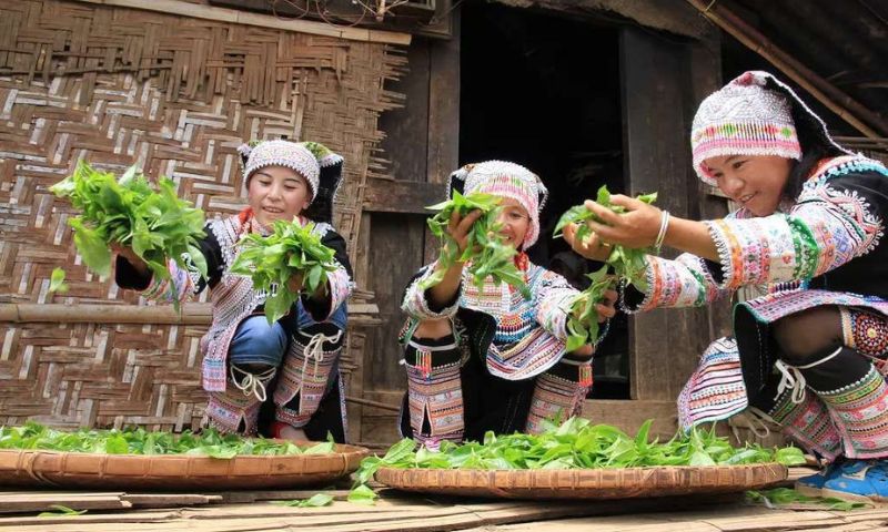 Online, tea, Chinese, culture, Pakistan, cooperation, help, Water, dialogue, Tourism, Heritage, nature