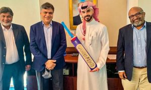 Saudi Arabia, Cricket, League, T20, IPL, Indian Premier League, Middle East, Sports, Kingdom,