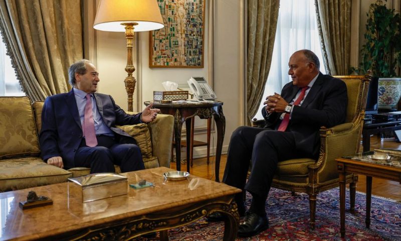 Foreign Minister, Syria, Egypt, Cairo, Diplomat, Visit, Government, United Arab Emirates, Damascus, Support, United Nations