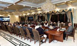 Cabinet, Supreme Court, Government, Prime Minister, Shehbaz Sharif, Maryam Nawaz,
