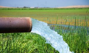 groundwater