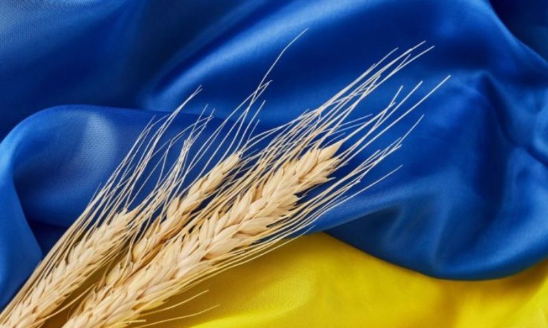 Poland, Ukraine, Grain, Food, Agriculture, Minister, Polish, Farmers, Black Sea, EU, European Union