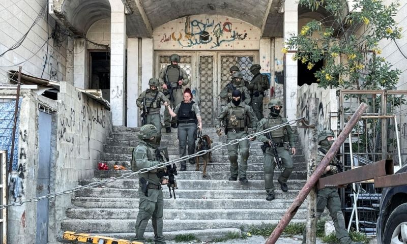 West Bank, Palestine, Israel, Gaza, Health Ministry, Hospitals, Arab, Jenin, Italian