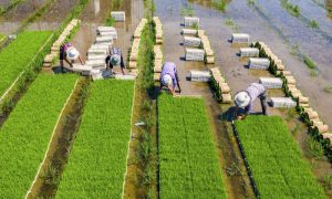 Beijing, Work, President, Internet, Sector