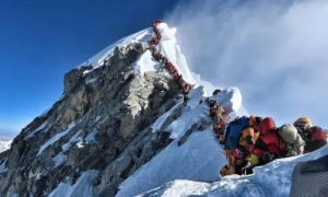 Climbers