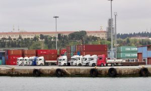 Exporters, Trade Potential, Turkiye