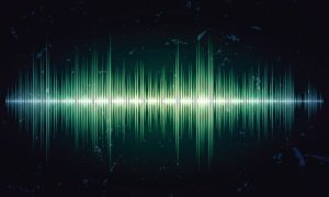 Audio, leak, facts, IIOJK
