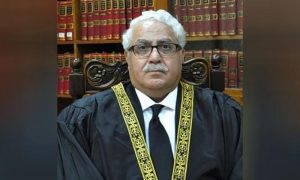 PAC, Supreme Court, Justice, Judges, Judiciary, Parliament, Corruption, Punjab, Chief Minister, Raza Rabbani, Sayyed Mazahar Ali Akbar Naqvi, Noor Alam Khan, National Assembly, NADRA