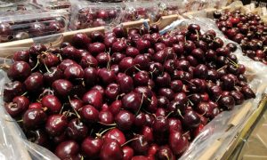 Pakistani, Chinese, market, trader, business, industry, laboratory, cherries