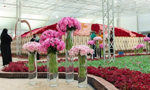 financial, Taif, rose, Festival, Heritage, culture, photos, time, palace